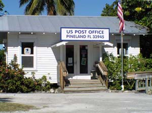 Pine Island Overview